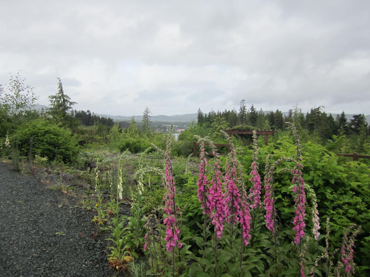 Ecoscape Cabins Port Hardy Exteriör bild